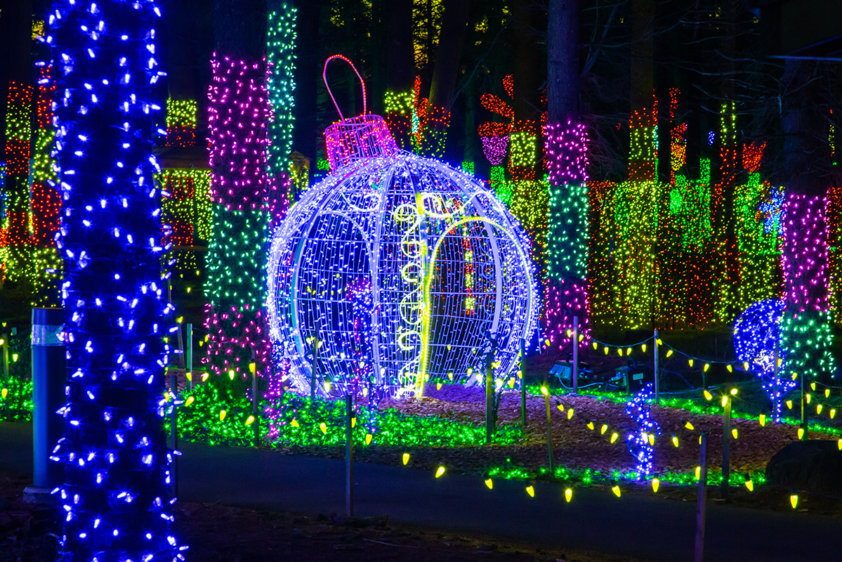 A holiday lighting display with a control system